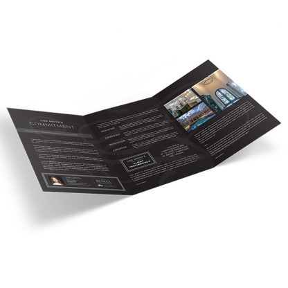 Personal brochure - 11x21 trifold open